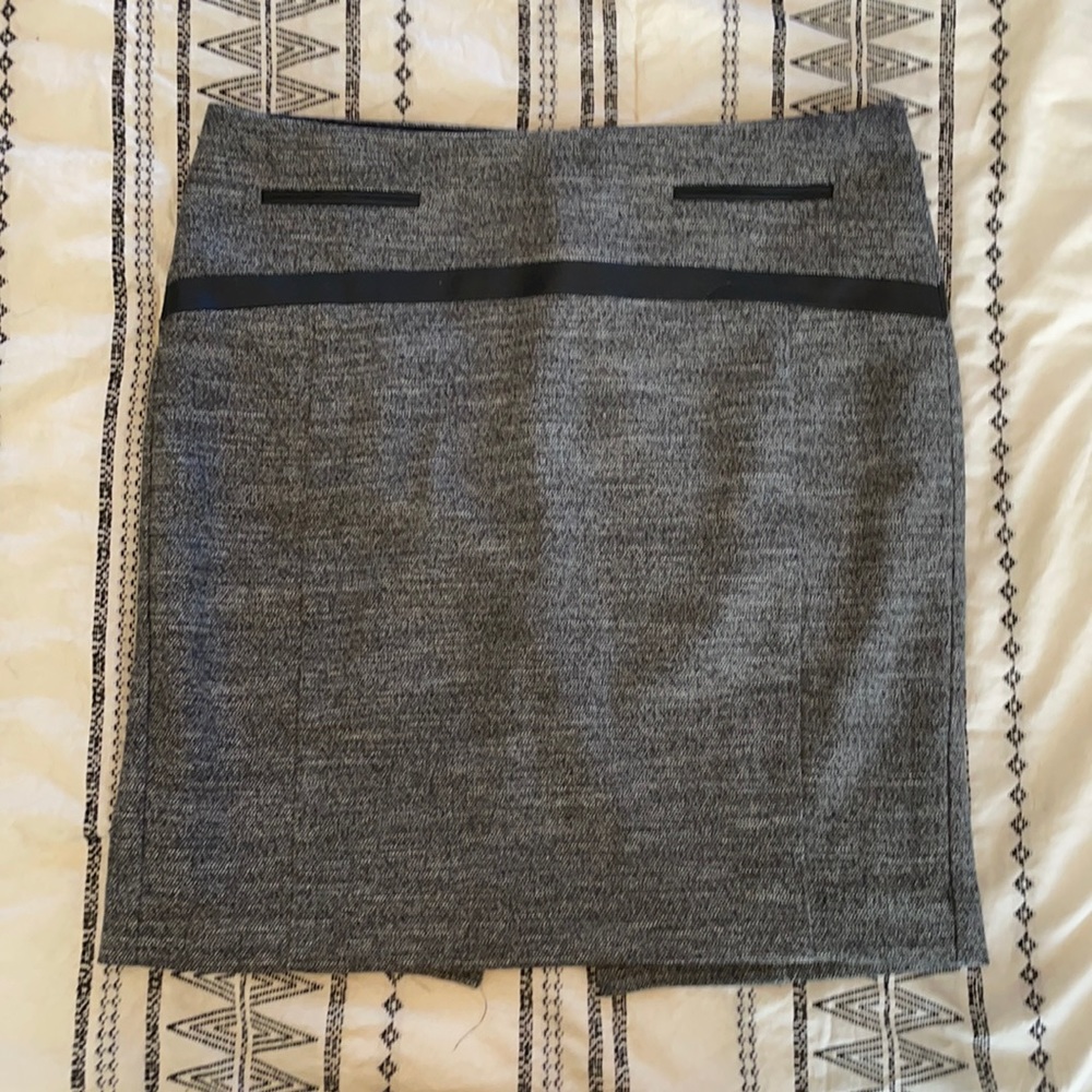 Express Pencil Skirt